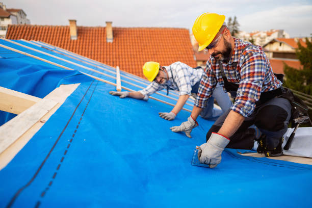 Best Roof Gutter Cleaning  in Winston Salem, NC
